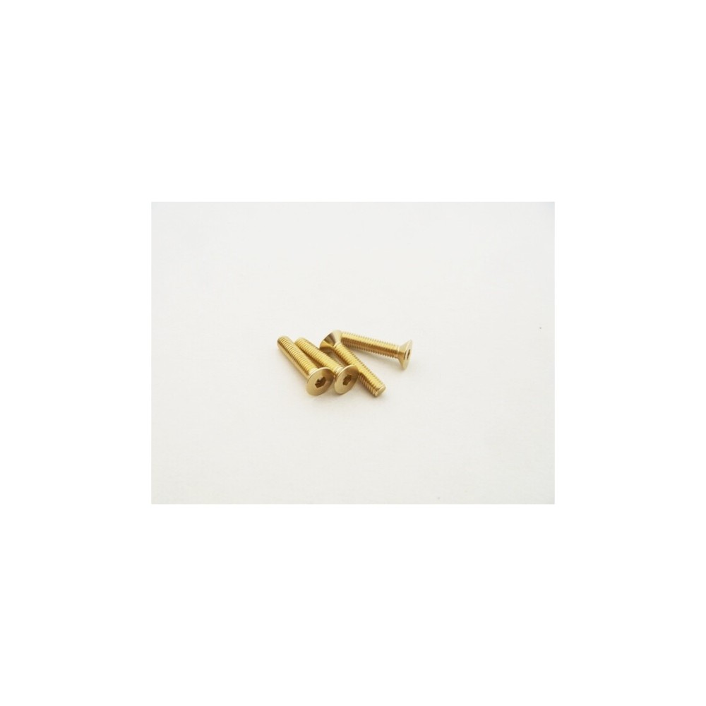 Hiro Seiko Alloy Hex Socket Flat Head Screw M3x18 (4pcs | Gold) HS-48786 Hiro Seiko Alloy Hex Socket Flat Head Screw M3x18 (4pcs | Gold) HS-48786