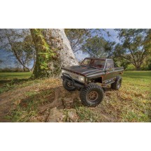 Element RC Enduro Trail Truck, Trailwalker RTR, black AE40119