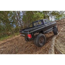 Element RC Enduro Trail Truck, Trailwalker RTR, black AE40119