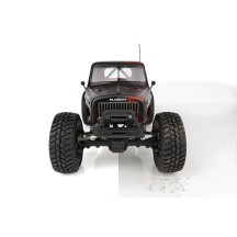 Element RC Enduro Ecto Trail Truck RTR, black AE40122