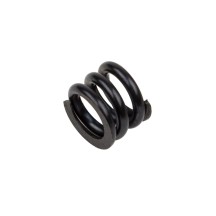 Muelle slipper desacoplado FT RC10B74.2 AE92369