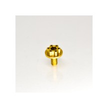 RC-Project Clutch Retainer Allen Screw in Titanium Grade 5 6Al4V "Limited Edition" 2 Pieces RCPJ-A005-2