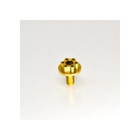 RC-Project Clutch Retainer Allen Screw in Titanium Grade 5 6Al4V "Limited Edition" 2 Pieces RCPJ-A005-2