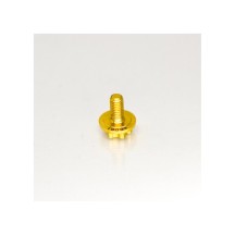 RC-Project Clutch Retainer Allen Screw in Titanium Grade 5 6Al4V "Limited Edition" 2 Pieces RCPJ-A005-2