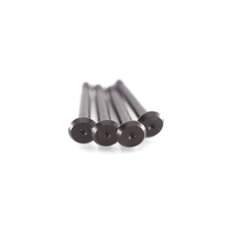 RC-Project Anti-Roll Bar Pins in Ergal 7075-T6 for Team Associated RC8B3.2 RCPJ-AEB3.1-007 RC-Project Anti-Roll Bar Pins in Ergal 7075-T6 for Team Associated RC8B3.2 RCPJ-AEB3.1-007