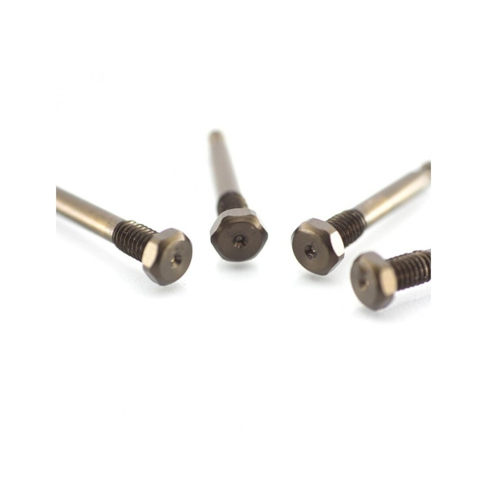 RC-Project Threaded Shock Pins in Ergal 7075-T6 for Team Associated RC8B3.2 RCPJ-AEB3.1-015 RC-Project Threaded Shock Pins in Ergal 7075-T6 for Team Associated RC8B3.2 RCPJ-AEB3.1-015