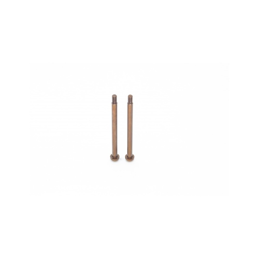 RC-Project Rear Hub Carrier Hinge Pin for Team Associated RC8B4 | RC8B3.2 RCPJ-AEB3.2-019 RC-Project Rear Hub Carrier Hinge Pin for Team Associated RC8B4 | RC8B3.2 RCPJ-AEB3.2-019