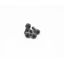 Tornillos M5x20 mm cilindro y ventilador CYFS003