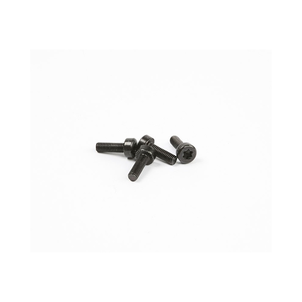 Tornillo M5x16 mm CYFS036 para motor RC Tornillo M5x16 mm CYFS036 para motor RC