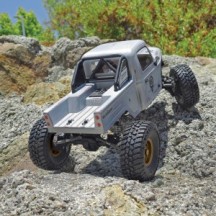 Camión trail Element RC Enduro Ecto gris RTR AE40130