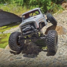 Camión trail Element RC Enduro Ecto gris RTR AE40130