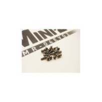 Hiro Seiko MR-04 EVO2 Titanium Hex Socket Screw Set (20pcs) HS-48949