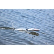 Barco Joysway Magic Cat V6 Electric ABS 265mm Brushed 2.4G RTR JW8108V6