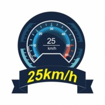 Barco Joysway Mad Shark V3 F1 Electric ABS 443mm Brushed 2.4G RTR JW8203V3