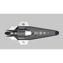 Barco Joysway E1 Racebird 1:14 RTR Hydrofoil 545mm Blanco JW8608W