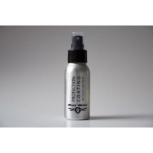 Dusty Motors Protection coating DMC1008
