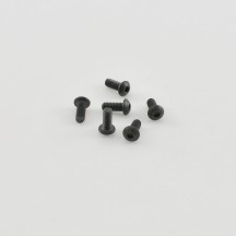 Tornillos cabeza redonda M2.5x6mm G36292A lote 6