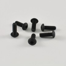 Tornillos cabeza redonda M4x12mm G36301A lote 6