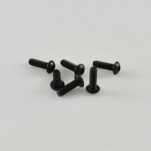 Tornillos cabeza redonda M3x10mm G36311A lote 6