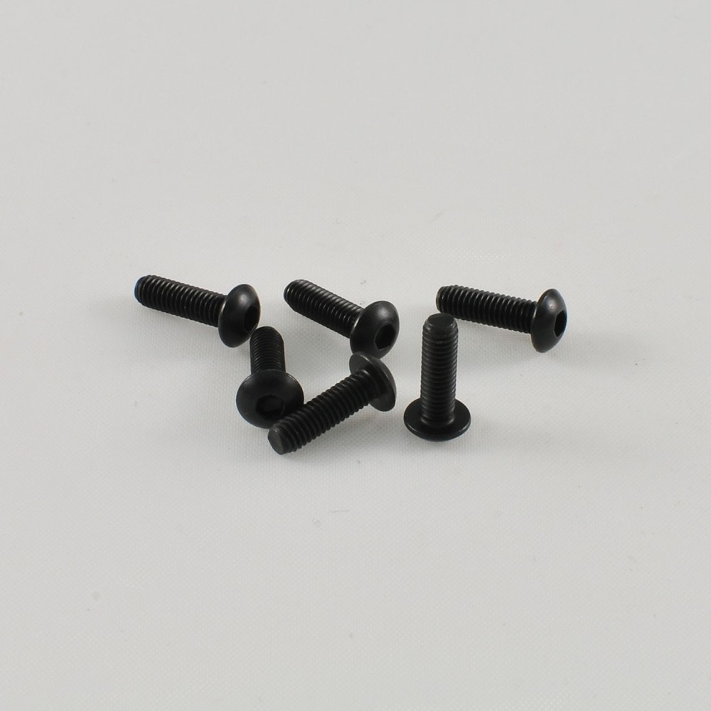 Tornillos cabeza redonda M3x10mm G36311A lote 6 Tornillos cabeza redonda M3x10mm G36311A lote 6