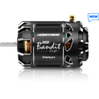 Hobbywing Xerun Bandit Brushless Motor G4R 17.5T 2500kV HW30401862