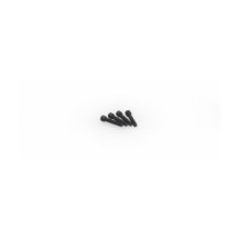 LRP M2x10mm Socket Cap Screw (10pcs) - S10, 122163 122163
