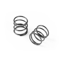 Xray xlp spring-set c2.9 (2) X308179