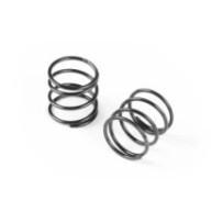 Xray xlp spring-set c2.9 (2) X308179