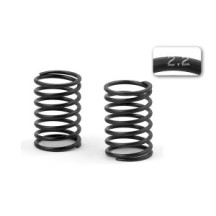 Xray spring-set c 2.2 (2) X308373