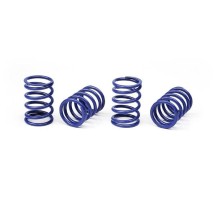 Xray spring-set d1.6 (22.5 lb) blue soft-medium (4) X308395