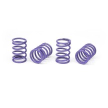 Xray spring-set d1.7 (28 lb) violet medium (4) X308396