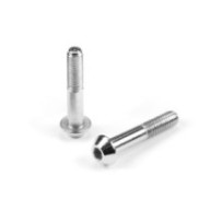 Xray steel brake pad guide pin screw m3x16 (2) X354180