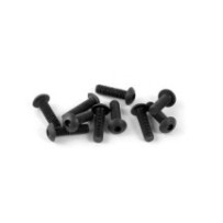 Xray hex screw sh m4x14 (10) X902414