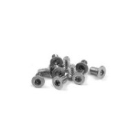 Xray hex screw sfh m2x4 stainless (10) X903204