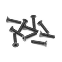 Xray hex screw sfh m3x14 (10) X903314