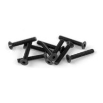 Xray hex screw sfh m3x20 (10) X903320