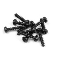 Xray screw phillips 3.0x14 (10) X905314