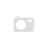 Xray high-speed ball-bearing 13x19x4 rubber sealed (2) X941318